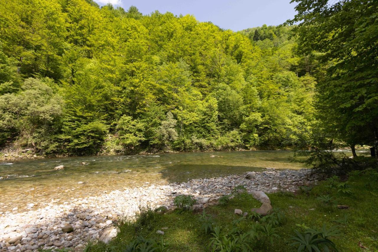 Treehouse Kupari Nacionalni Park Risnjak Cabar Exterior photo